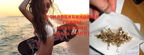 мет Бородино