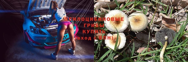 твердый Бугульма