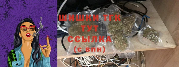 мет Бородино