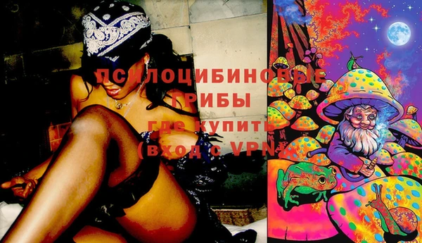 амф Верхний Тагил